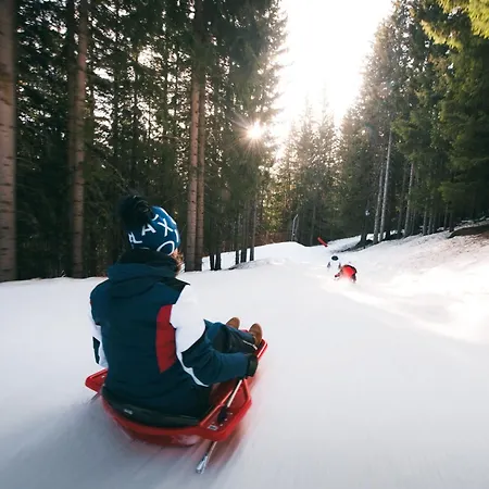 Appartement Confortable 2 Pièces Cabine, Skis Aux Pieds, Proche Commerces - Fr-1-182a-4 *