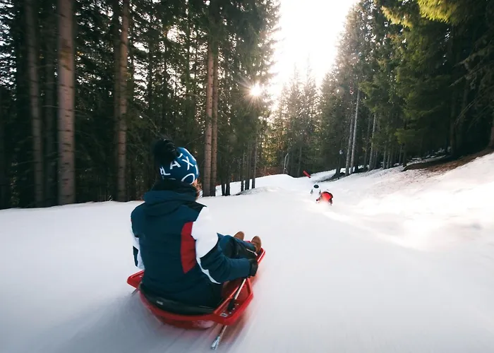 Confortable 2 Pieces + Cabine, Skis Aux Pieds, 5/6 Pers. - Fr-1-182a-4 Courchevel